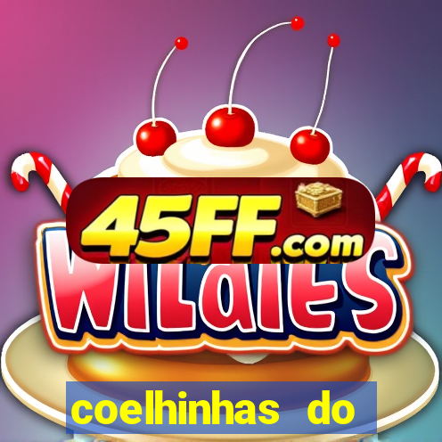 coelhinhas do brasil acompanhantes